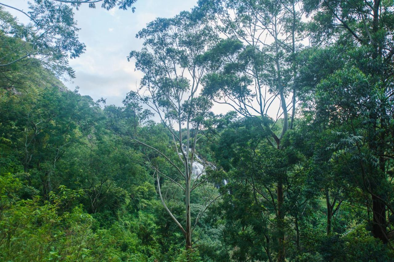 Ella Retreat Hotel Glamping Tent For Nature Lovers Luaran gambar